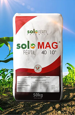 FOTOS PAGINA INICIAL_0003_PRODUTO-2